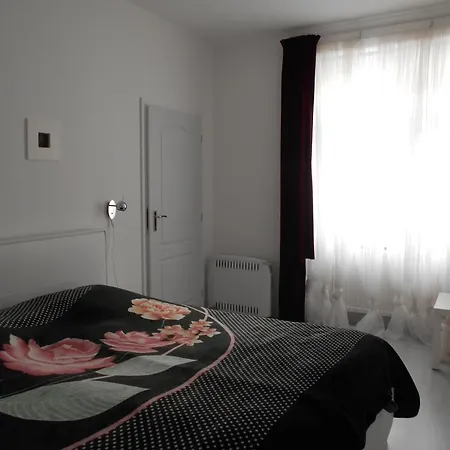Διαμέρισμα Mladejovskeho Mariánské Lázně